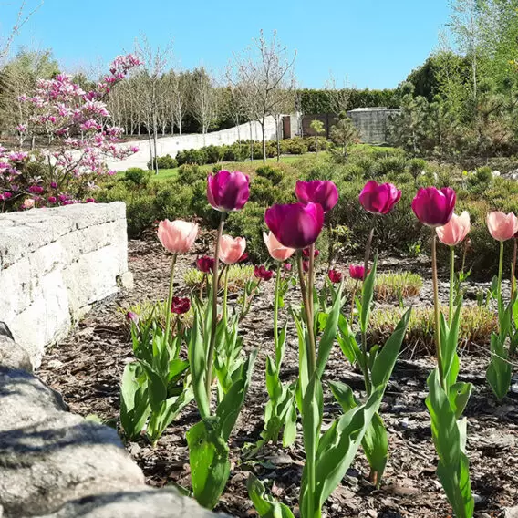 Spring accents in large spaces