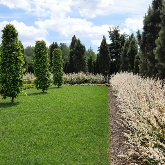Pure form, minimalist, raw, economical in composition and selection of plants