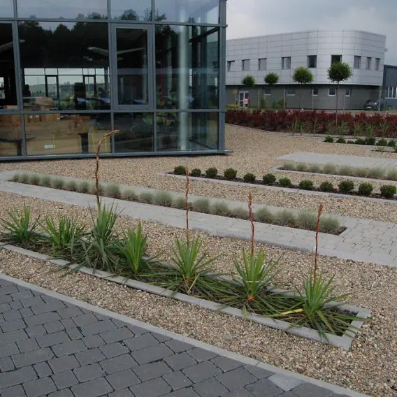 Greenery in investments 4