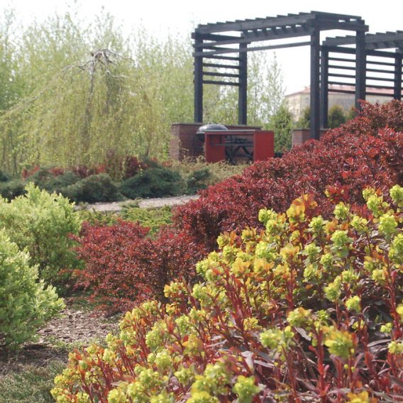 A fiery garden with clinker details of small architecture