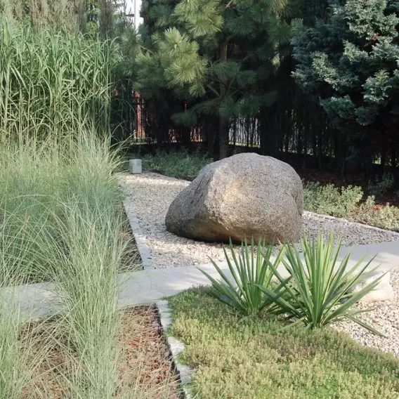 Lines in the main role – the entrance garden to the house